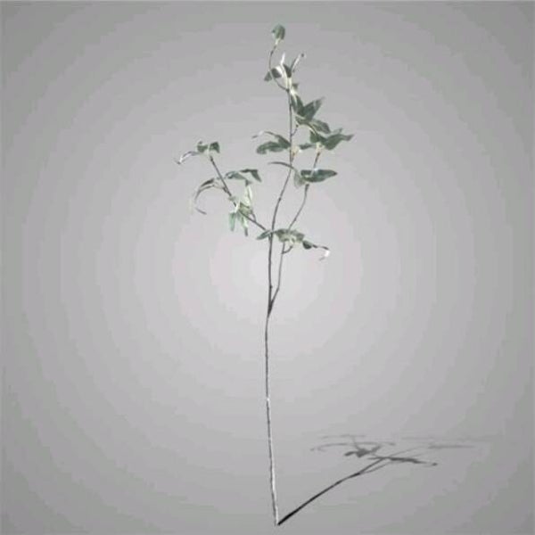 Perovskia Leaf Silver Grey