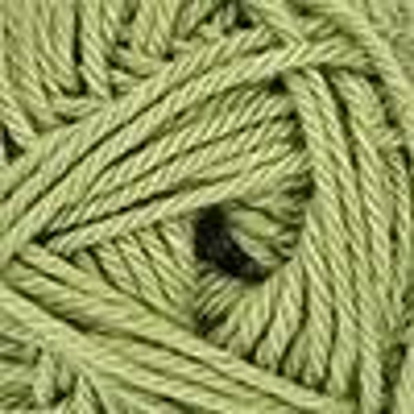 Rammelaar Olifant #123 Fern