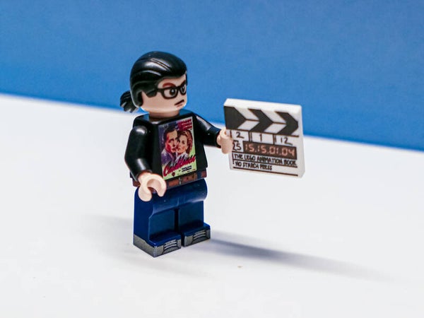 Mr. Liu's LEGO Minifigure 乐高迷你公仔