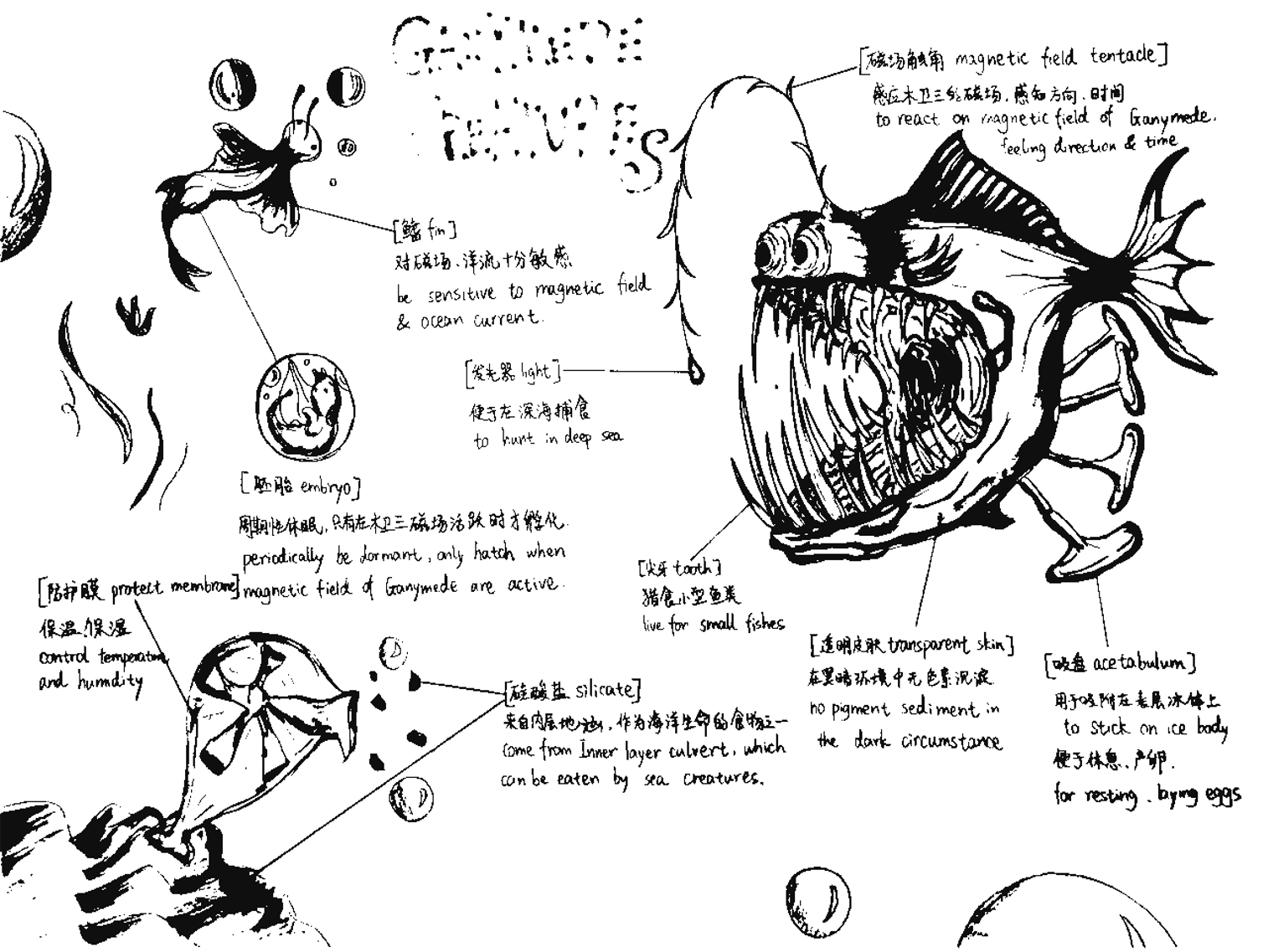 Imagine a Fish Living on Ganymede 木卫三上的一条鱼