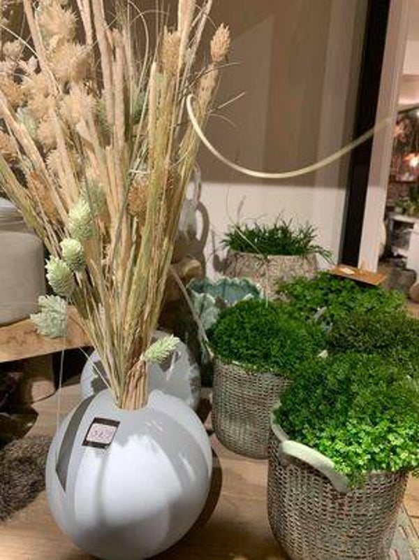 vaasje met droogbloem witte -munt