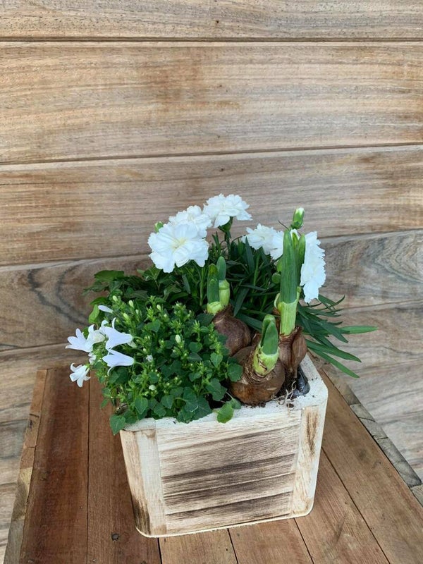 potje voor de tuintafel