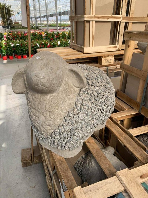 schaap beton