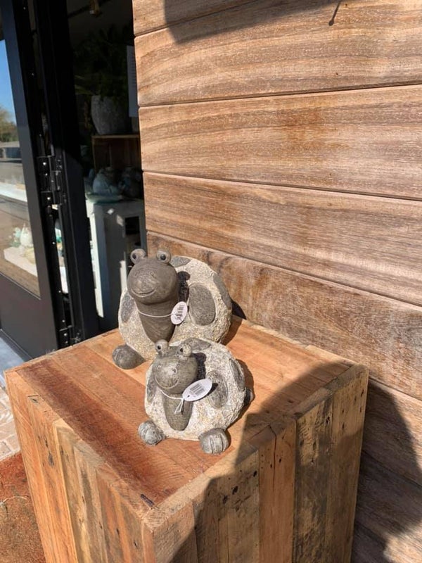 schildpad buiten groot