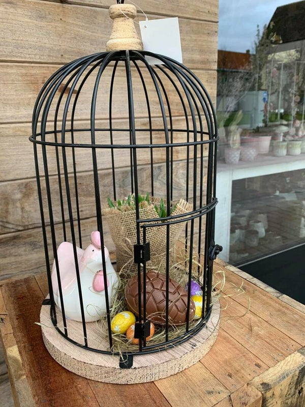 vogelkooi met roze kip