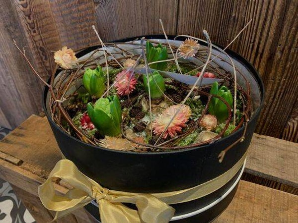 hyacinth in de box
