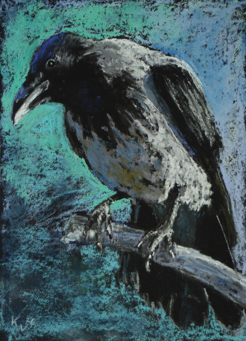 Gråkrage - softpastel  30x40cm indrammet  1.700 kr.