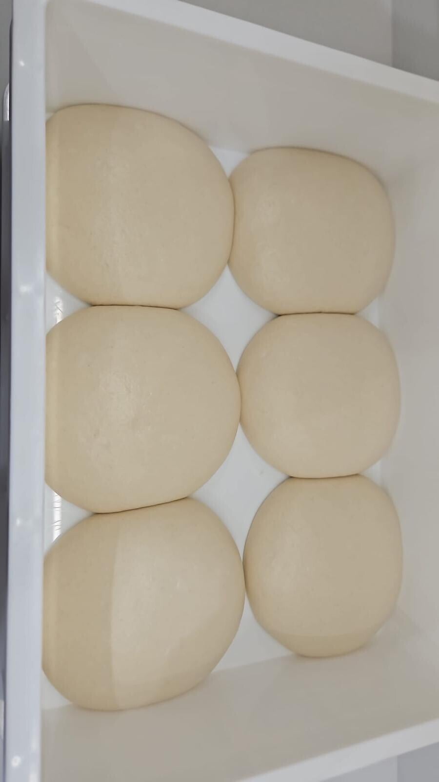 Weasel Dough