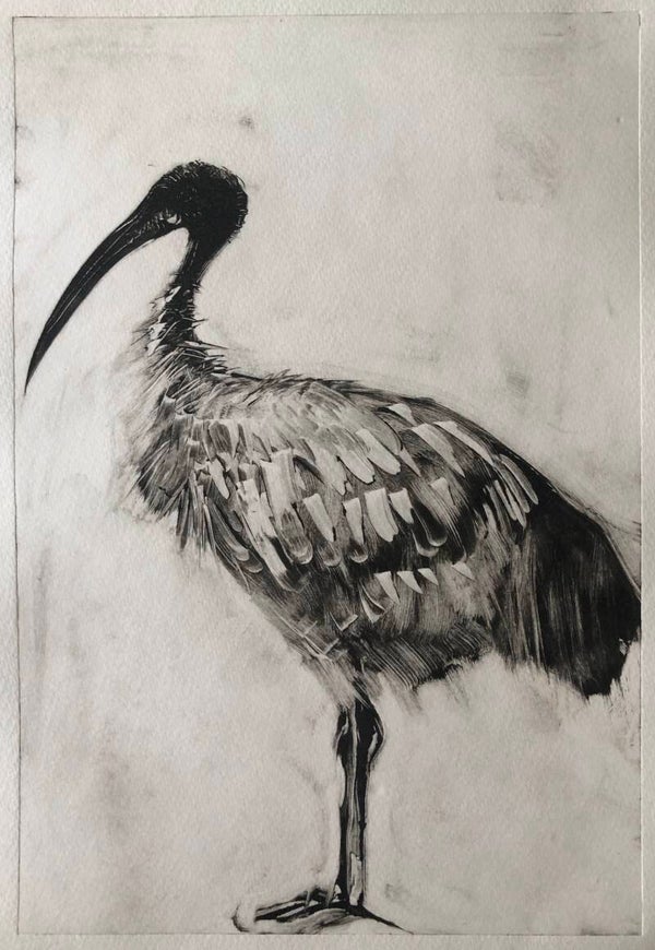 Don't Call Me Chicken