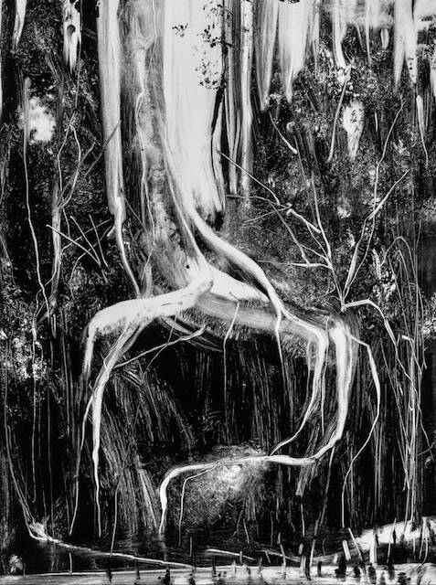 Friday Creek - Donna Jorna Monotype