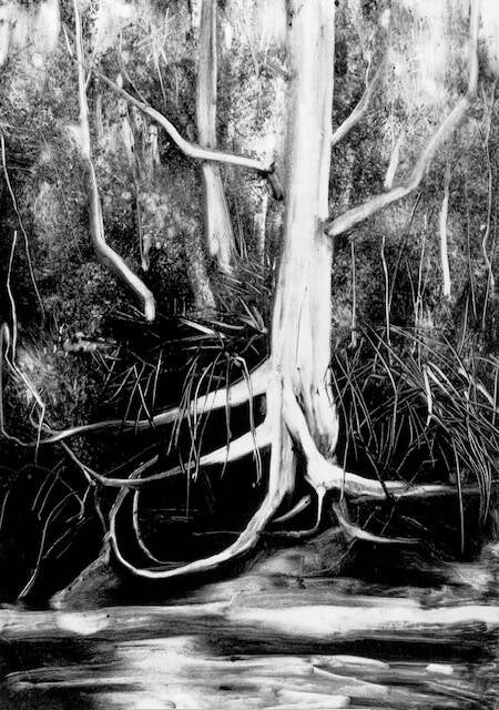 Friday Creek II - Donna Jorna Monotype