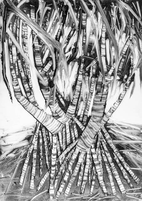 Pandanus - Donna Jorna Monotype