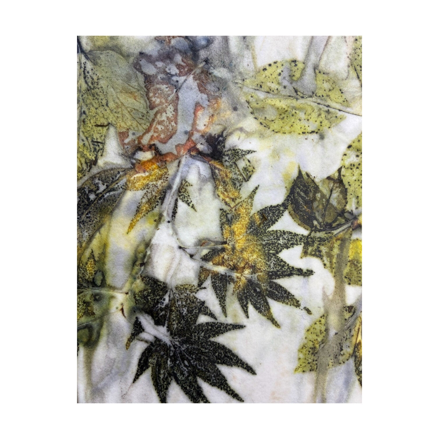 Workshop - Introduction to Eco Printing on paper