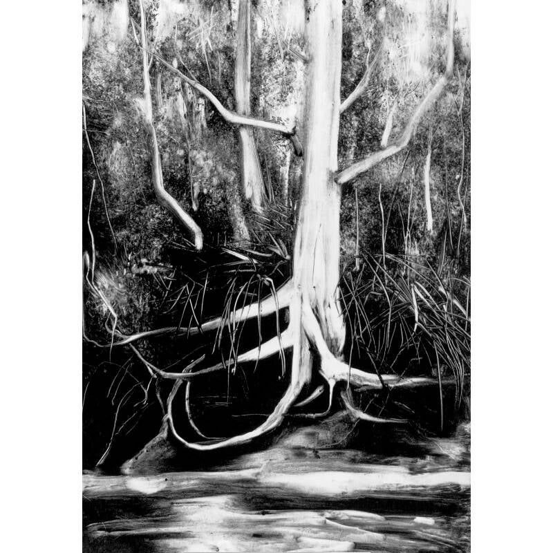 whitagram-image-standard-0vfxz2.jpg