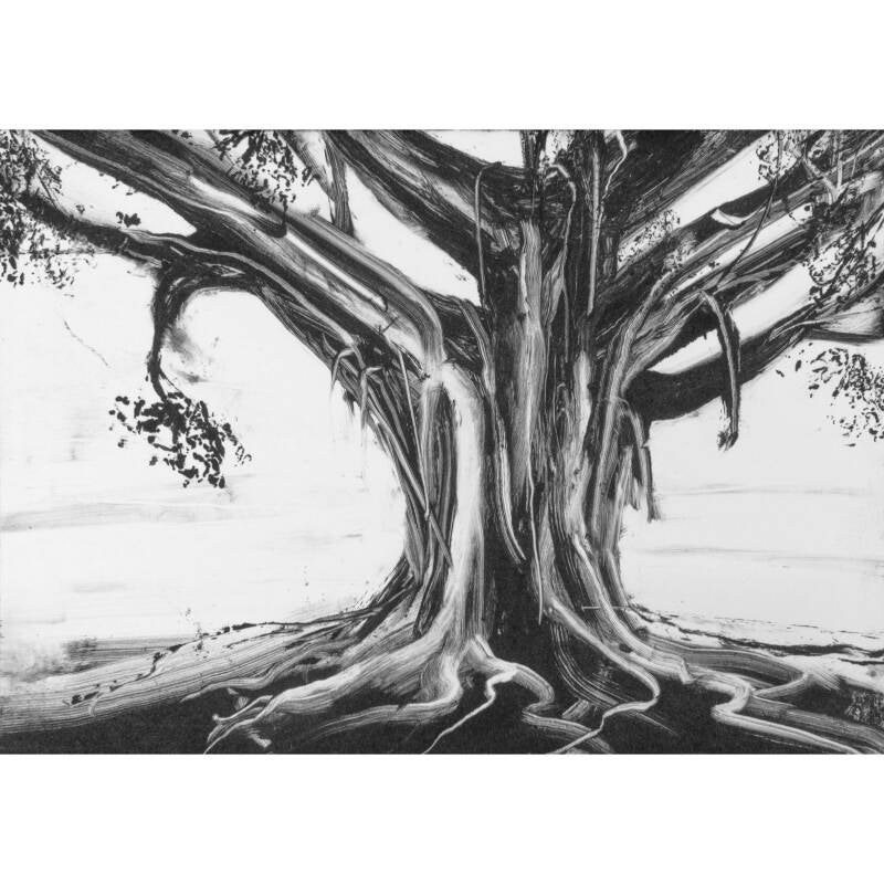 whitagram-image-standard-0z7ynw.jpg