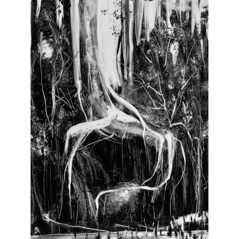 whitagram-image-standard-w53xph.jpg