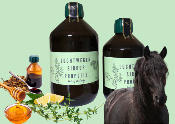 NIEUW  Luchtwegen siroop met propolis