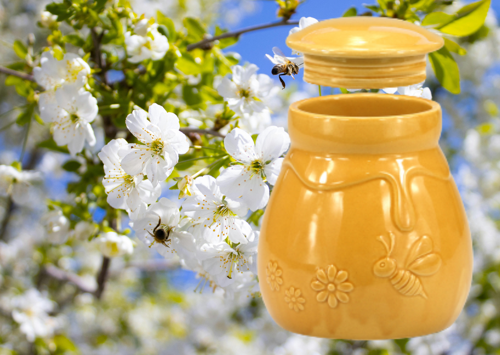 NIEUW Honing pot keramiek