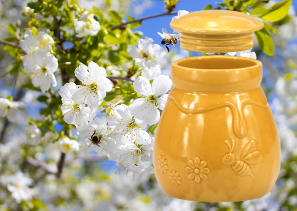 NIEUW Honing pot keramiek