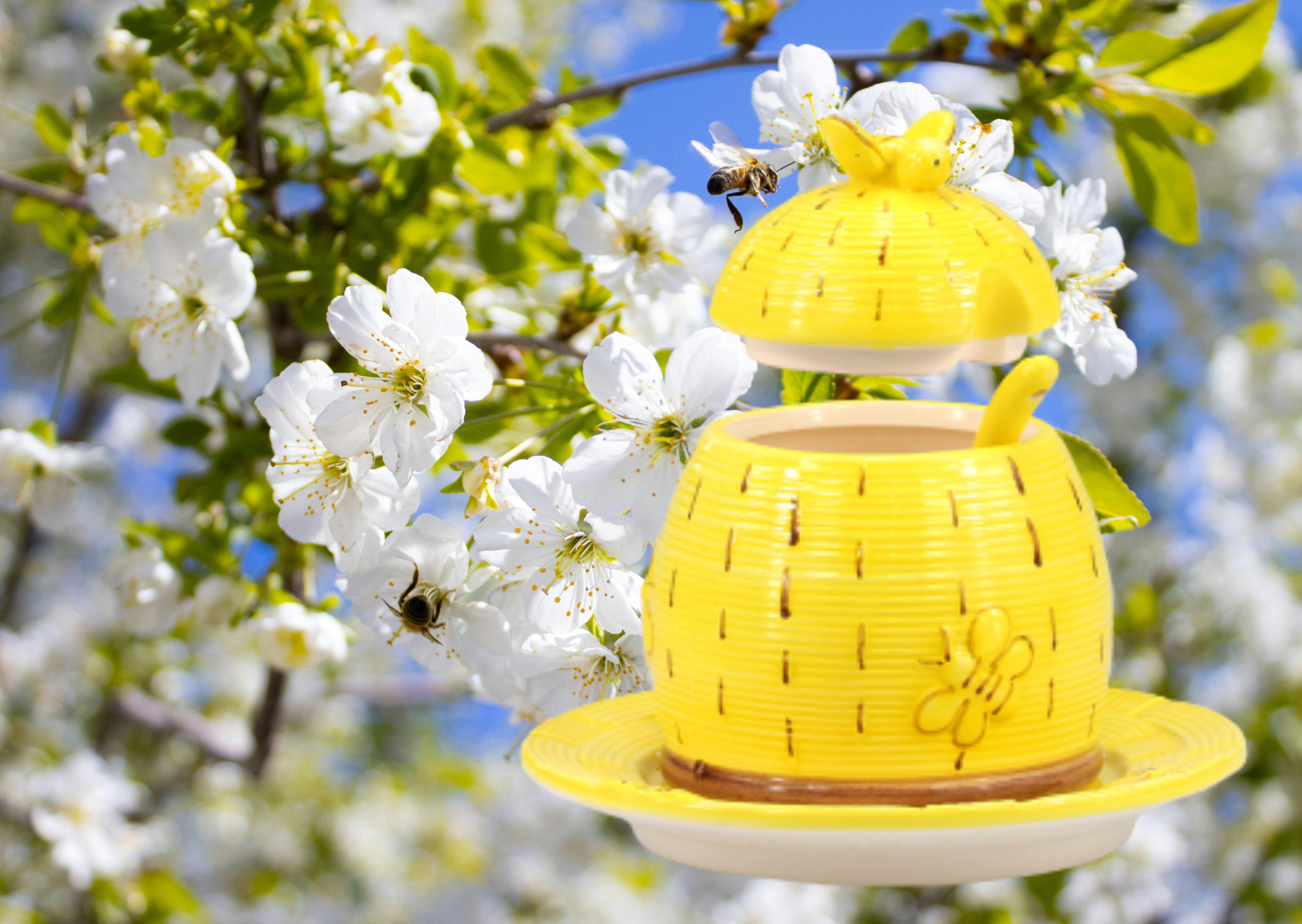 NIEUW Honing pot Keramiek met deksel, schotel en lepeltje