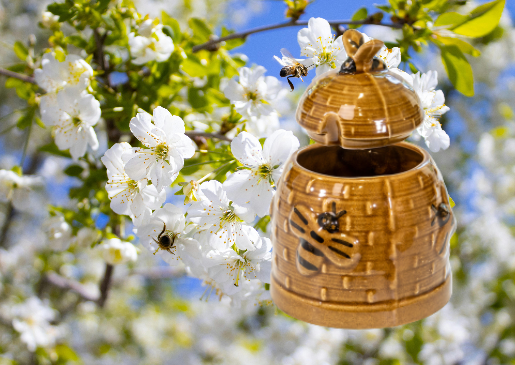 NIEUW Honing pot keramiek met rvs spiraal honing lepel
