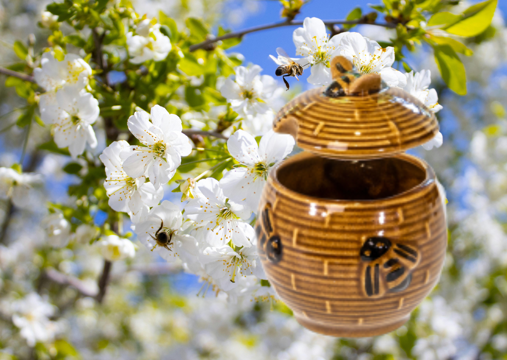 NIEUW Honing pot keramiek met deksel en houten lepeltje