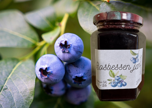 Bosbessenjam  375 G