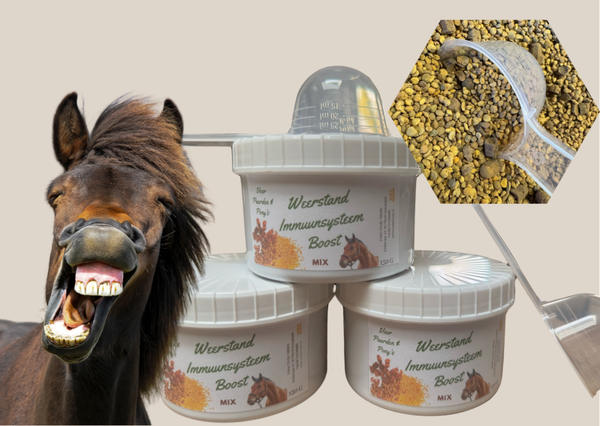 NIEUW  Weerstand  Immuunsysteem Boost Mix