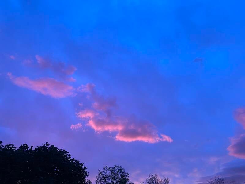 img_0677-standard.jpg