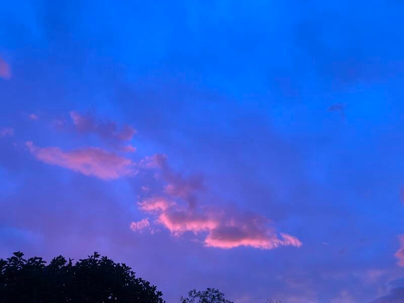 img_0678-standard.jpg