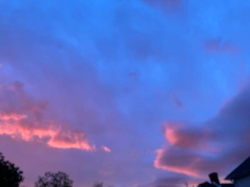 img_0682-standard.jpg