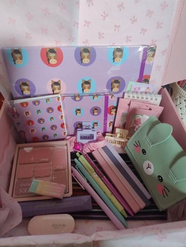 Girls large stationary set with cute bag.