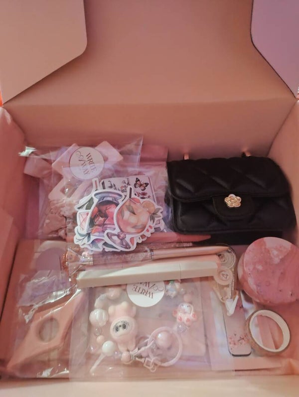 Pink labubu
