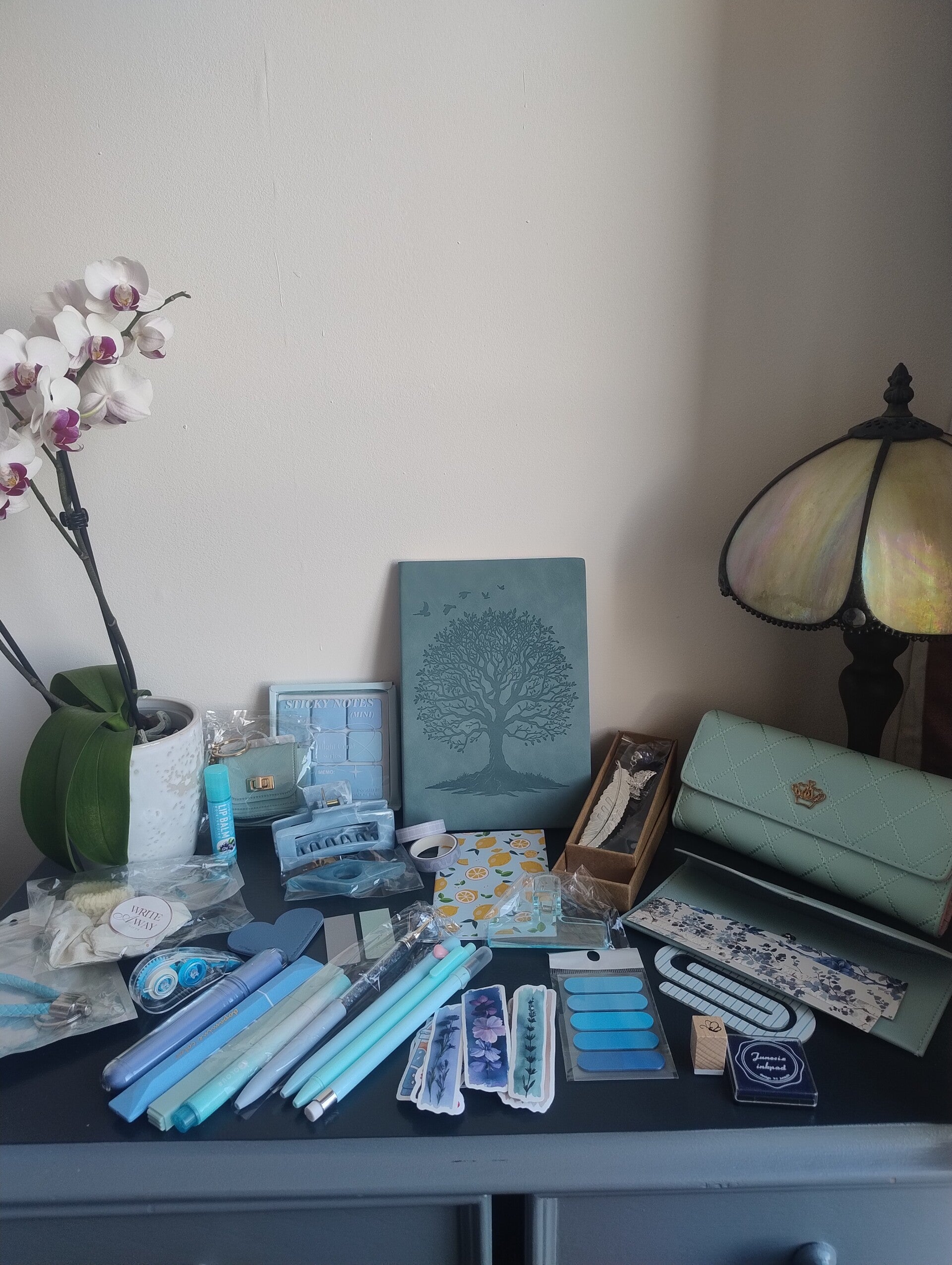 XL Blueish stationary bundle