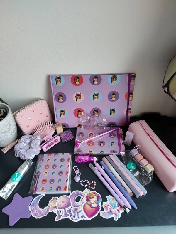 Large girls stationary gift set (purple pony set)