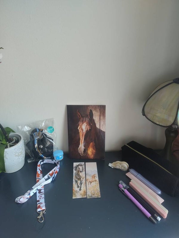 Basic equine journal set