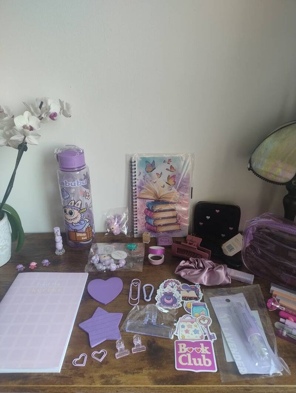 Large labubu purple bundle