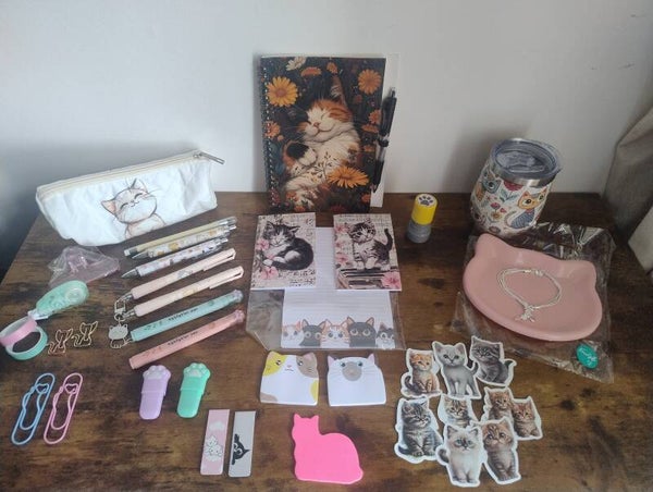 Isabella's purr-fect bundle from sleeping sparrows.