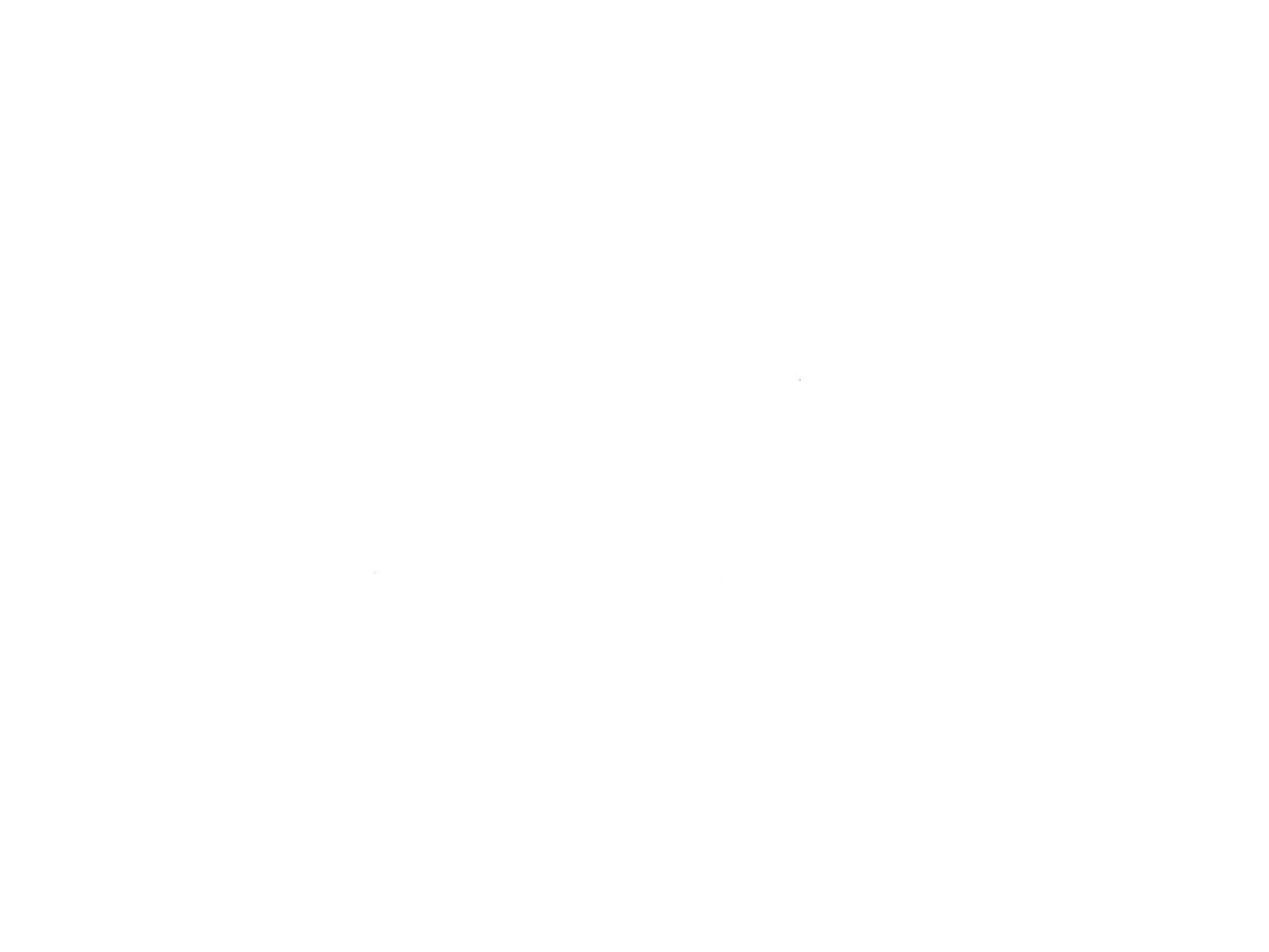 Arteria / Line-up | TTMF