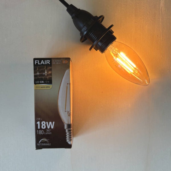 LED lampje (2W)