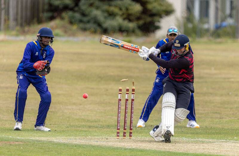 bowled-web-standard-dkel7i.jpg