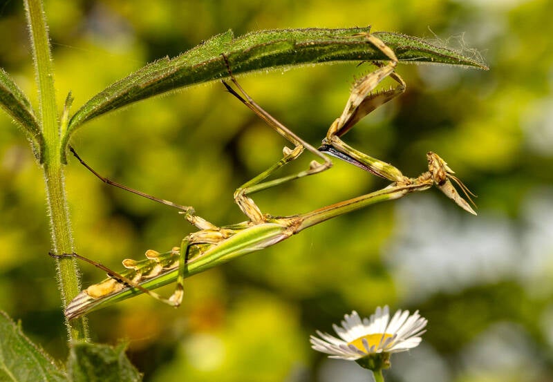 sticky-2-web-standard.jpg