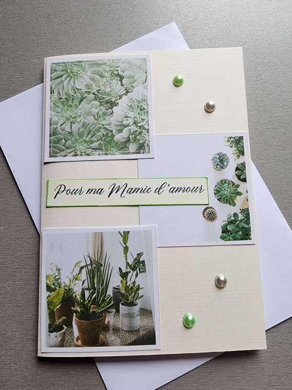 Carte Fêtes des grand-mères succulent