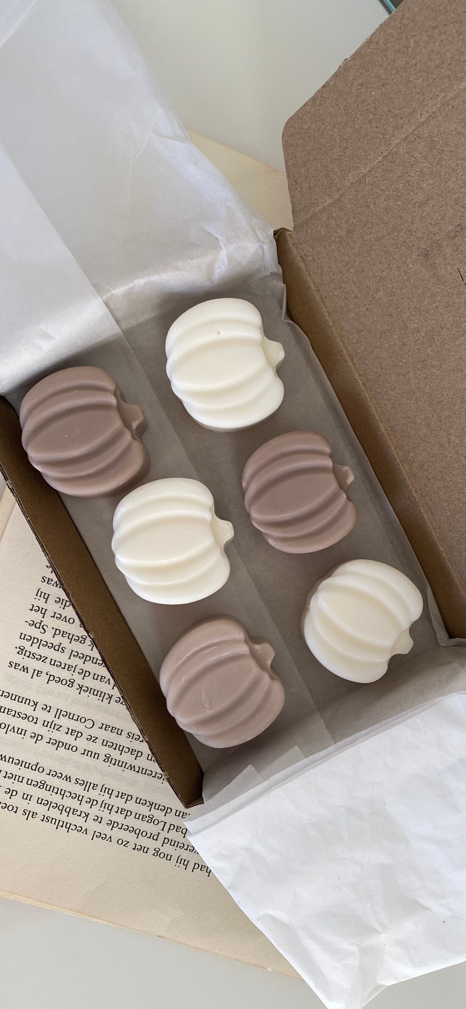 Pumpkin waxmelt box Vanille - Kaneel