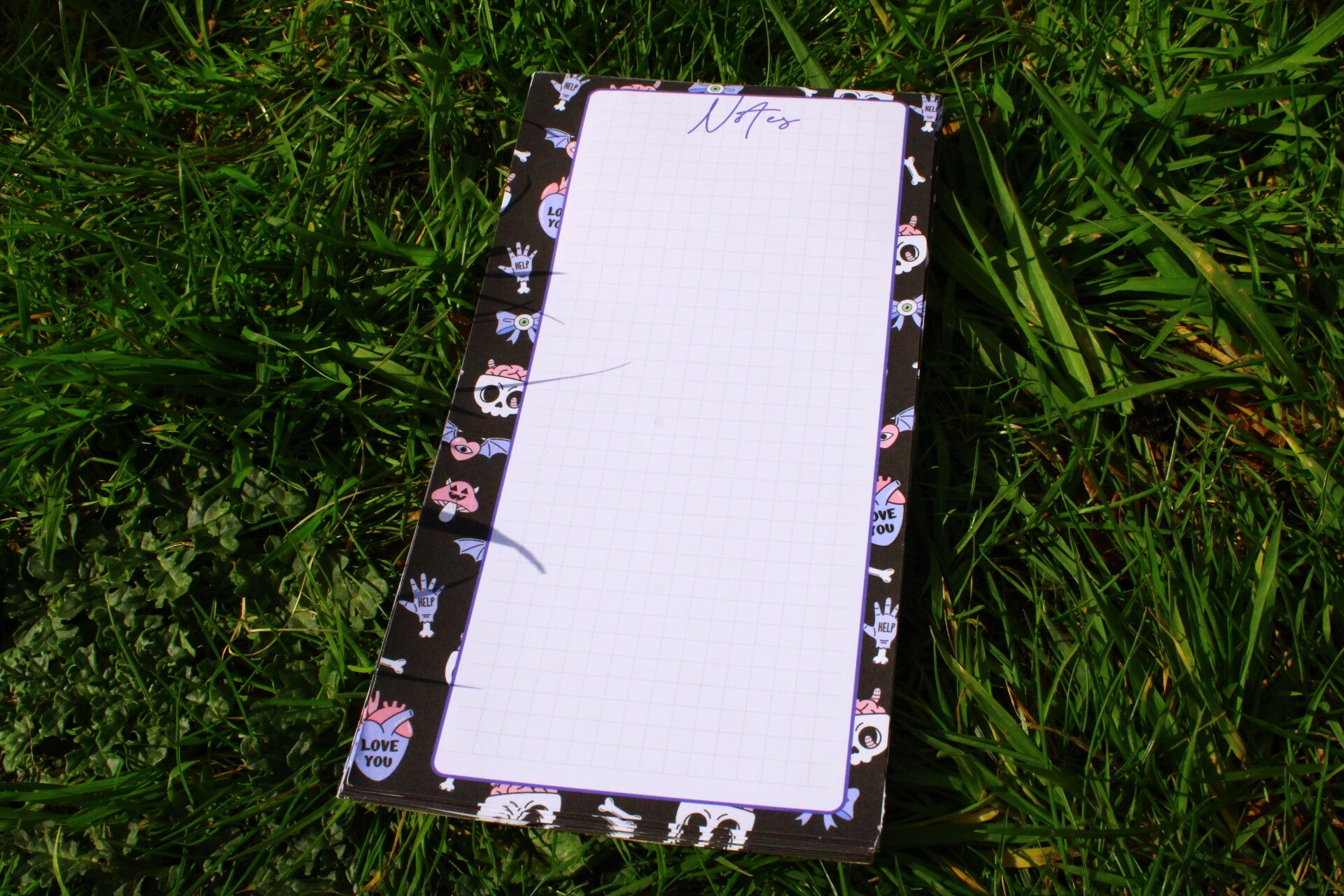 Scull notebook
