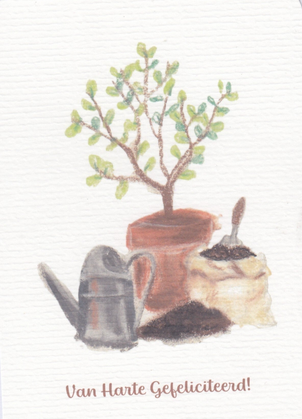 Tuinkaart - 10 x 15 cm