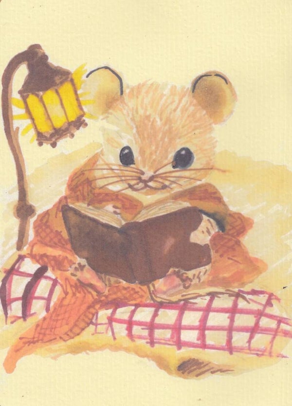 Kaart Muis leest boek - 10 x 15 cm - Blanco
