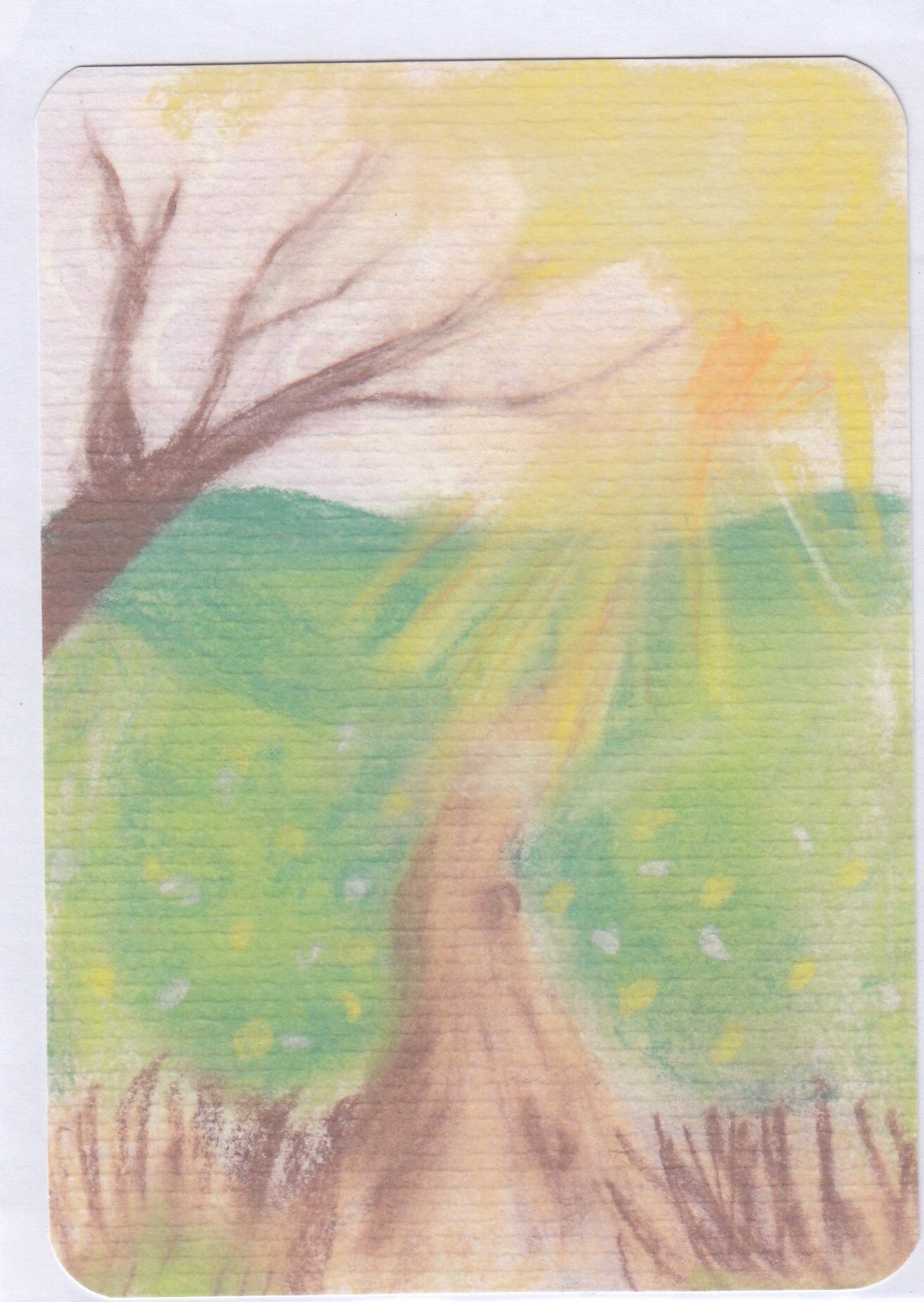 paadje door groenlandschap met zon en een boom - 10 x 15 cm - Blanco