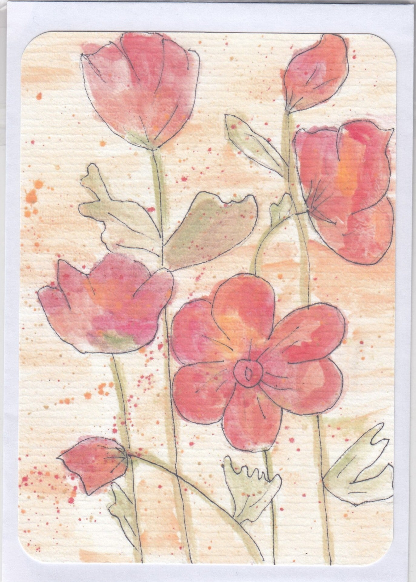 Rode rozen - 10 x 15 cm - Blanco