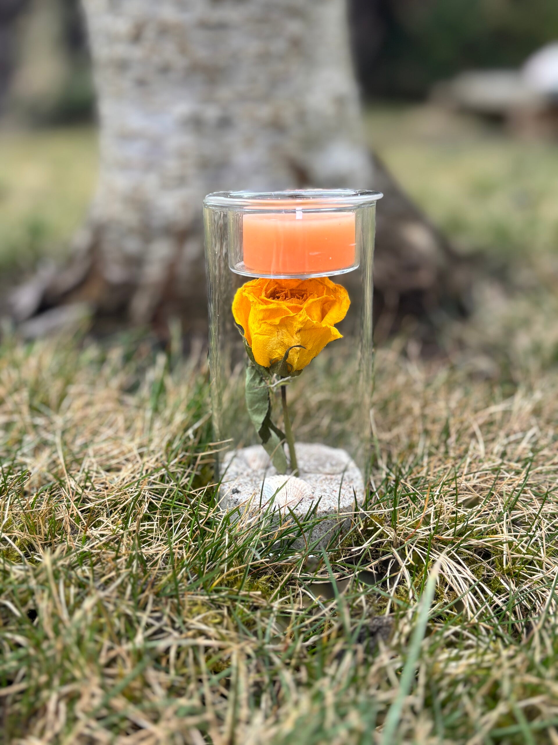 Lichtgruß der Erinnerung